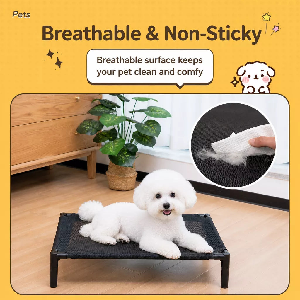 Elevated Dog & Cat Bed with Removable, Washable Pad