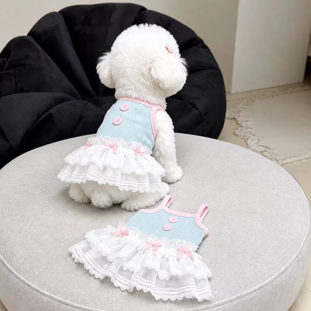 Pet Tank Tops and Strappy Dresses