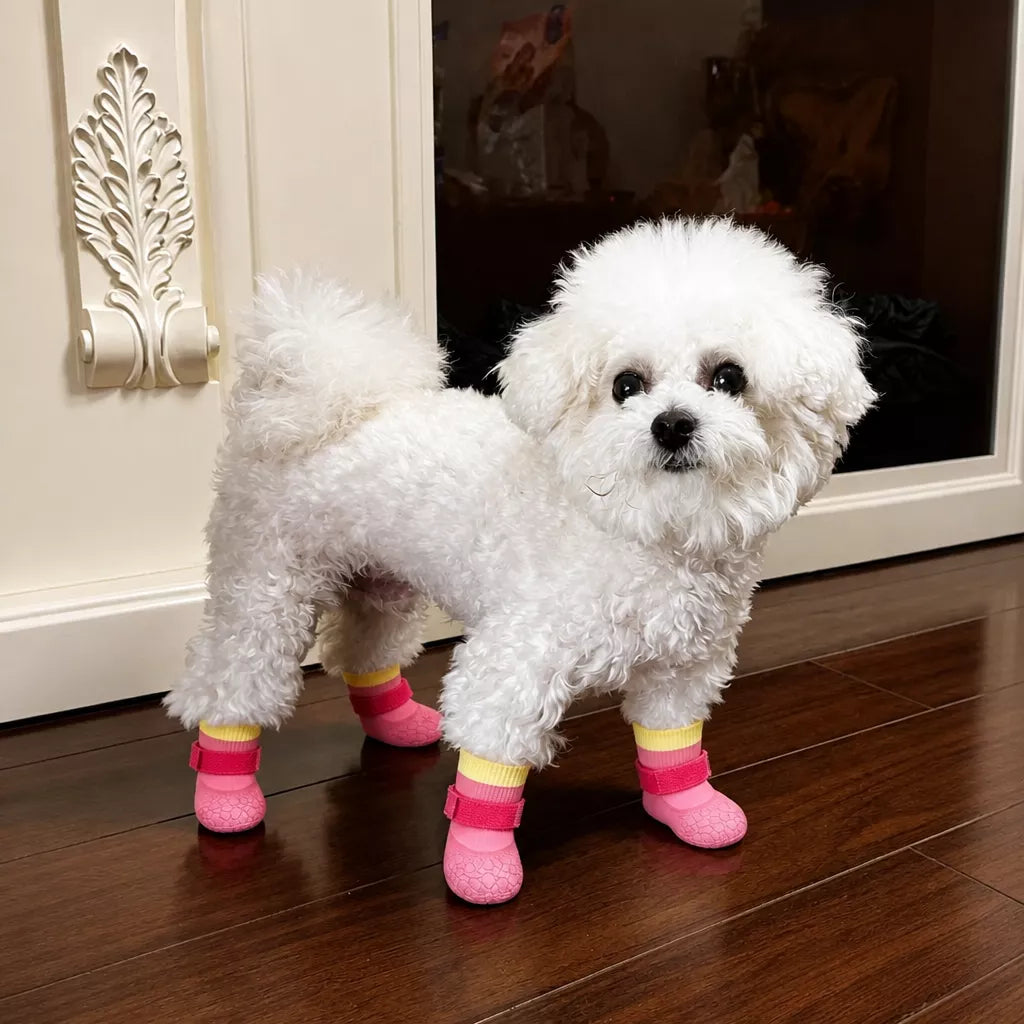 Dog Shoes for Small and Medium Dogs