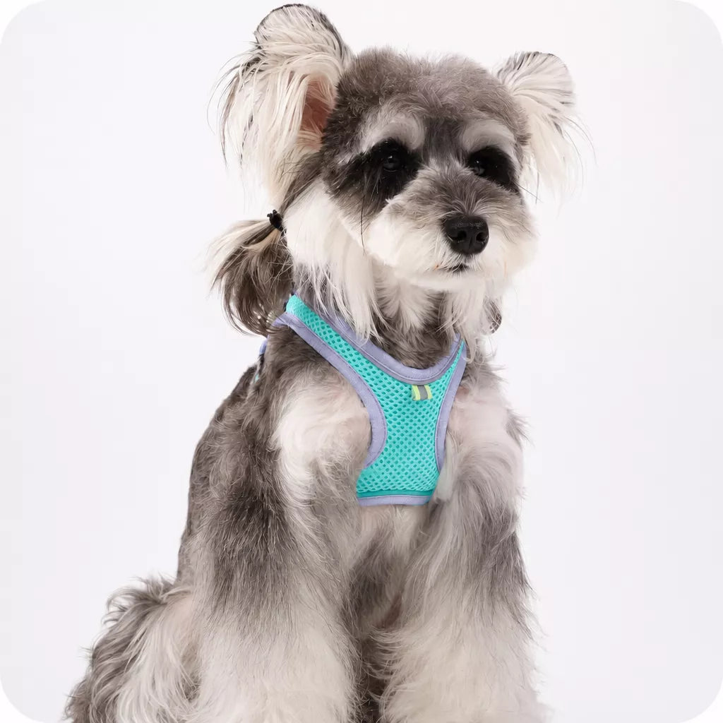 Adjustable Dog Harness with 4.6-ft Leash for Small Dogs