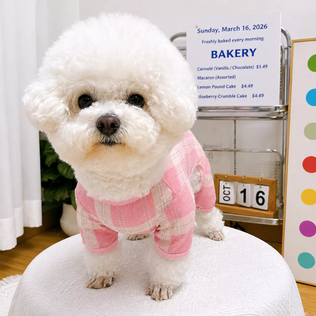 Striped Mesh Four-Leg Summer Shirt for Dogs