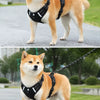 Nylon Dog Walking Harness