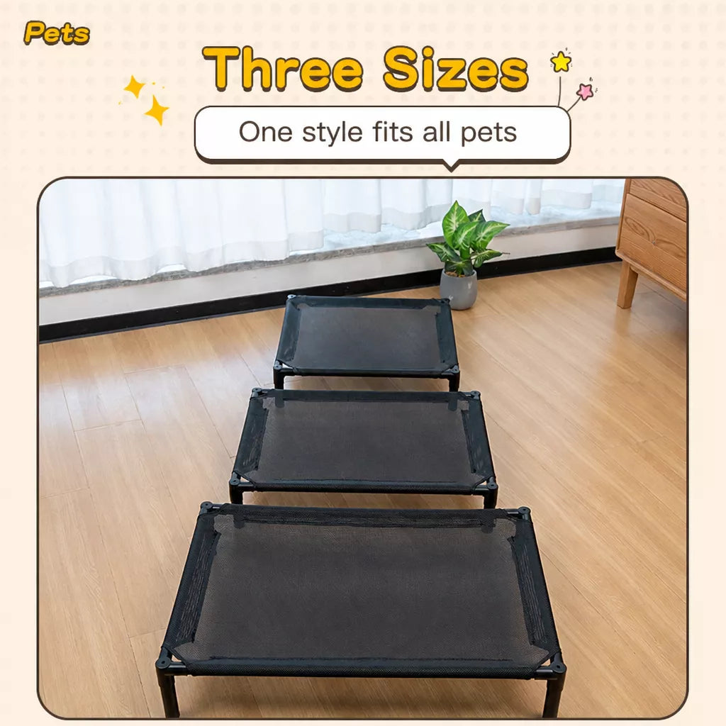 Elevated Dog & Cat Bed with Removable, Washable Pad