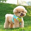 Nylon Dog Harness and Leash for Small Dogs