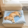 Waterproof Pet Rest Mat for Cats and Small Dogs
