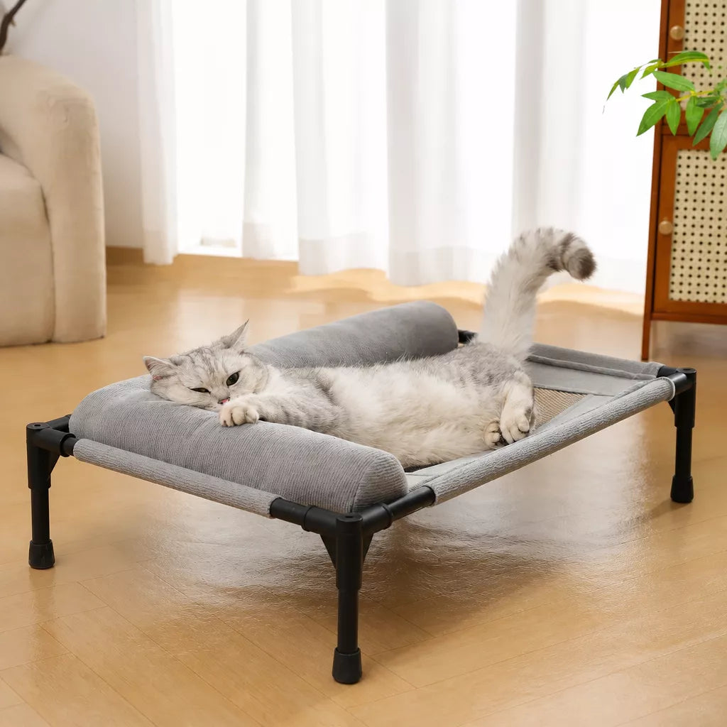 Elevated Pet Cot with Removable, Washable Cover