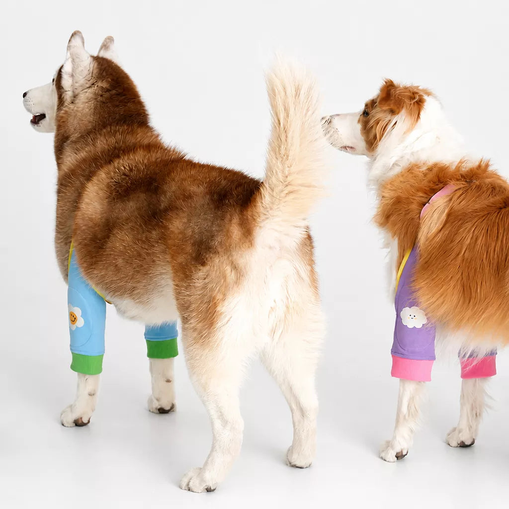 Dog Leg Cover for Year-Round Everyday Wear
