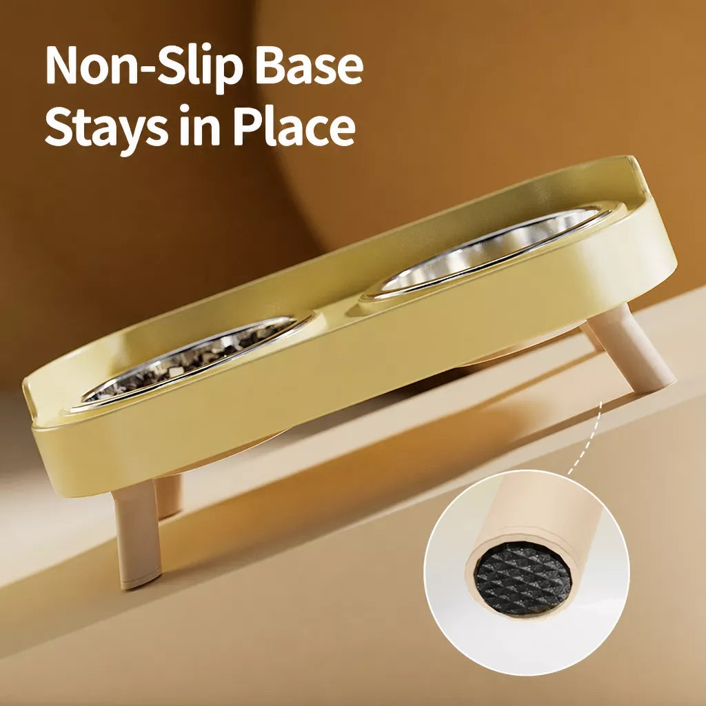 Stainless Steel Dog Bowl with Plastic Stand for Small Dogs