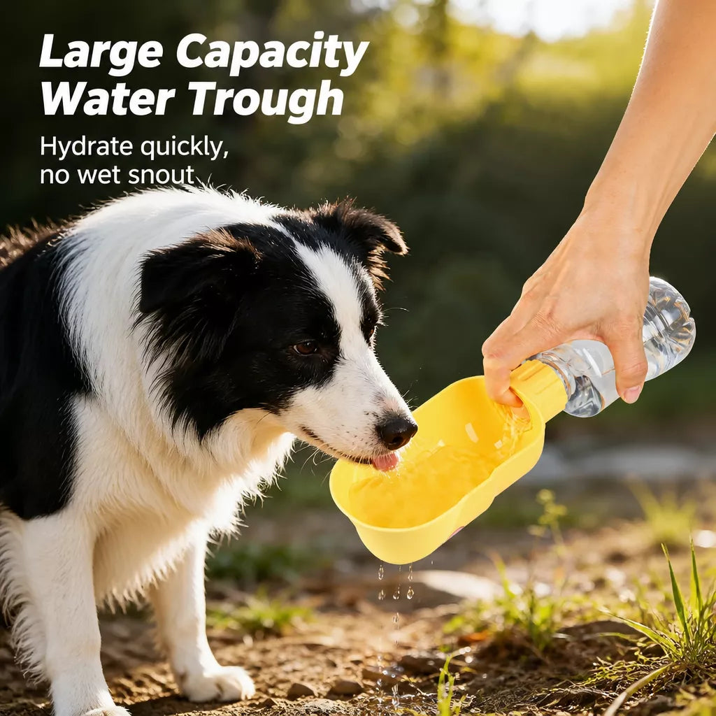 Portable Foldable Dog Water Bottle for Walks and Travel
