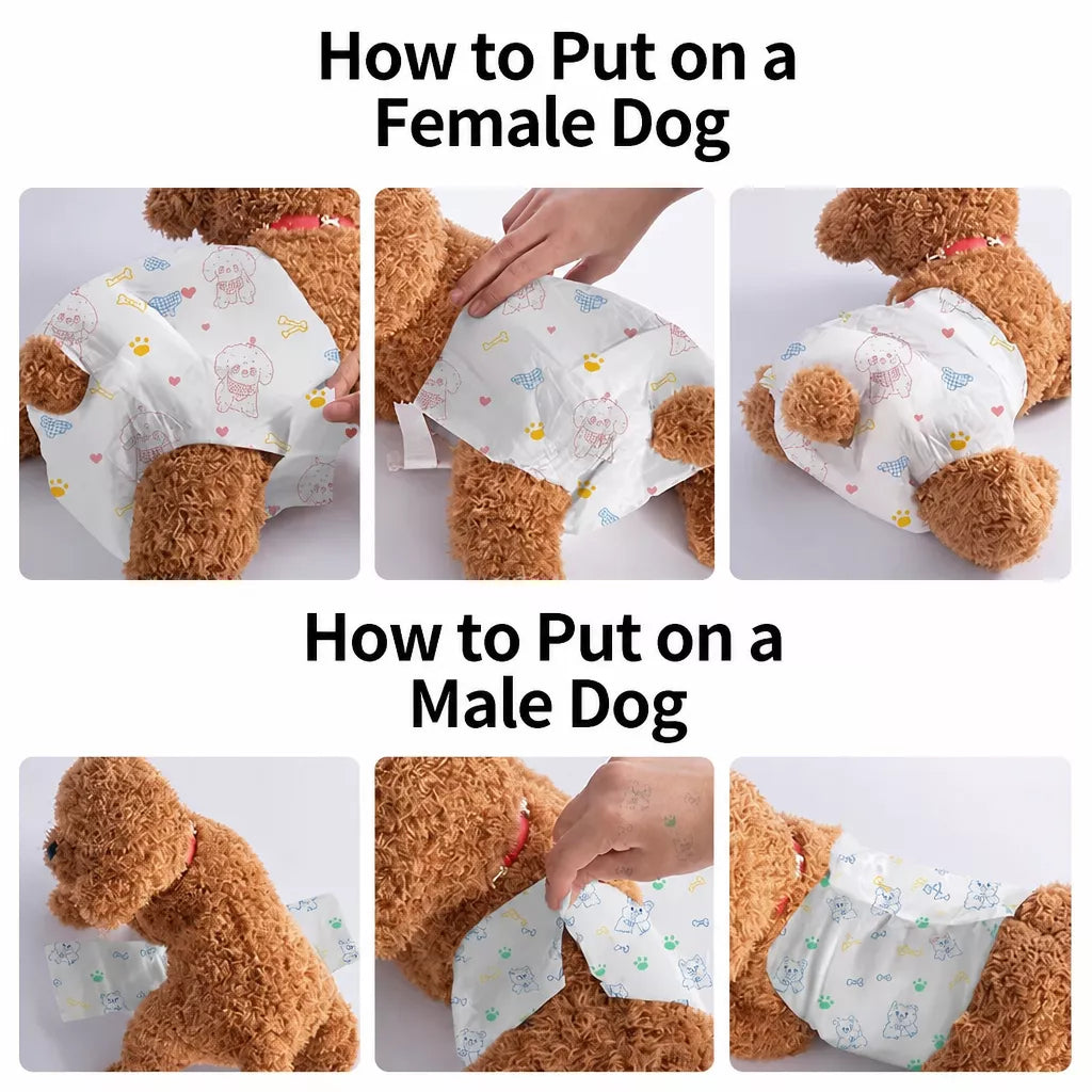 Disposable Dog Diapers for Male and Female Dogs