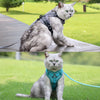 Reflective Cat Harness and Leash Set with Nylon Rope