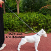 Nylon Rope Training Leash for Small to Medium Dogs