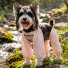Lightweight Long-Leg Pet Pants for Outdoor Wear