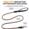 Small Dog Harness and Leash Set