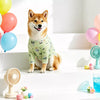 Lightweight Four-Leg Dog Shirt