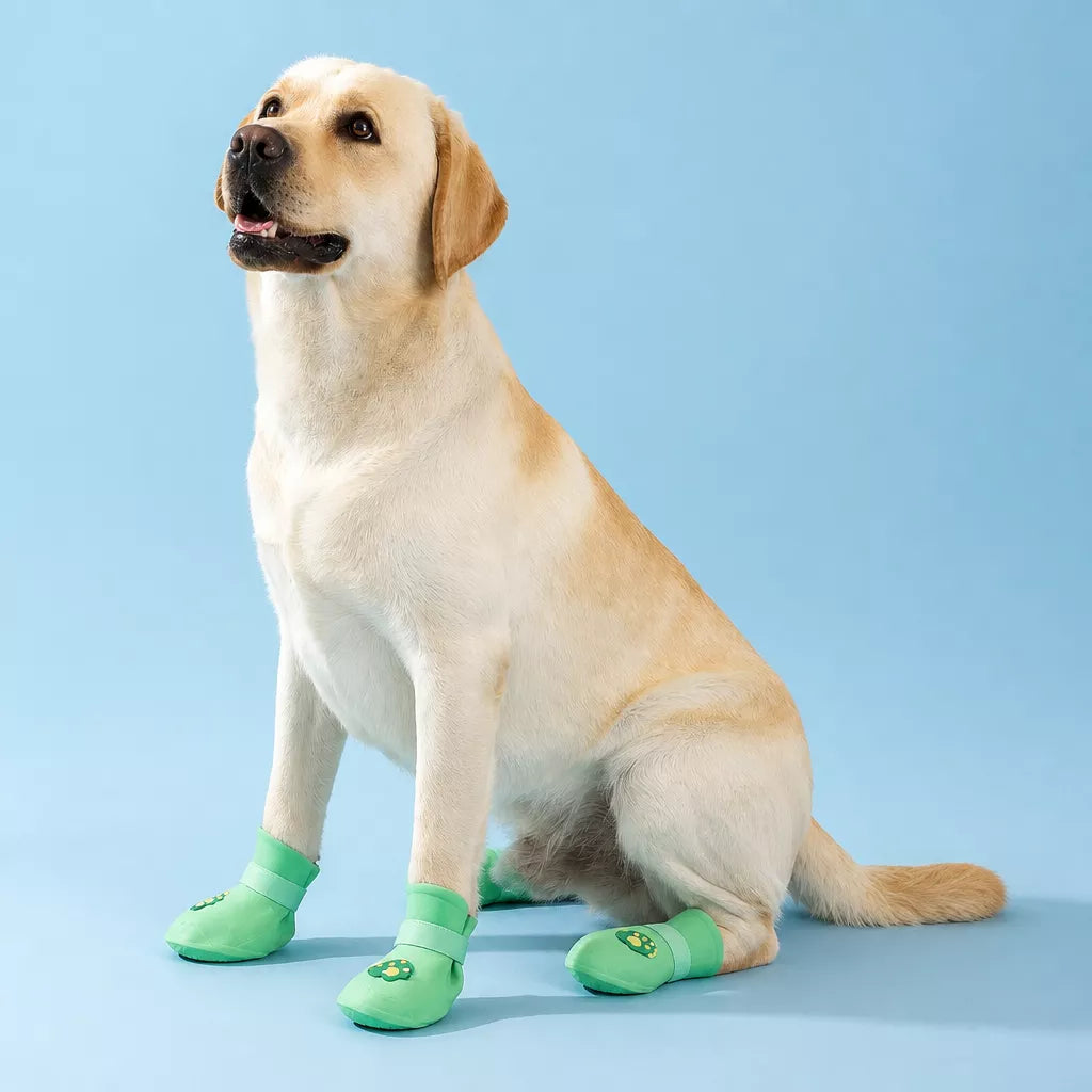 Waterproof Dog Boots for Rainy Walks