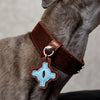 Soft Faux Leather Collar for Small Dogs & Cats