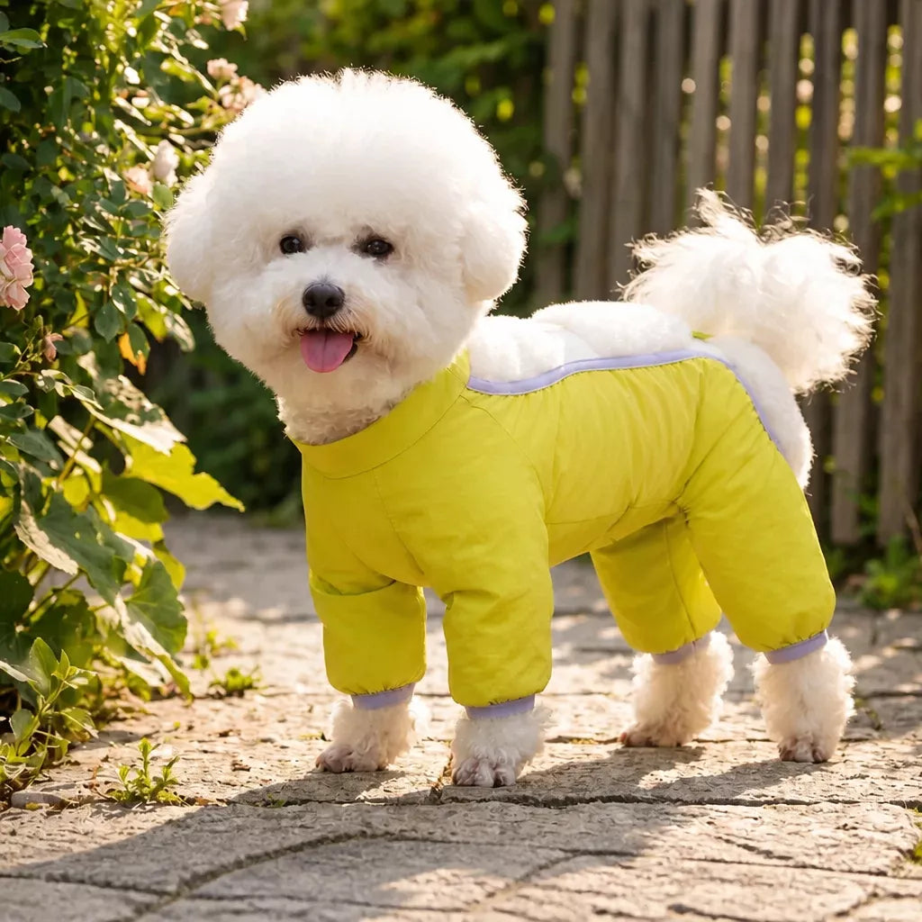 Synthetic Leather Four-Leg Dog Jumpsuit for Outdoor Walks