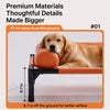 Elevated Pet Cot Bed for Dogs & Cats