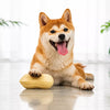 Peanut-Shaped Squeaky Dog Toy