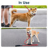 Reinforced Dog Training Leash