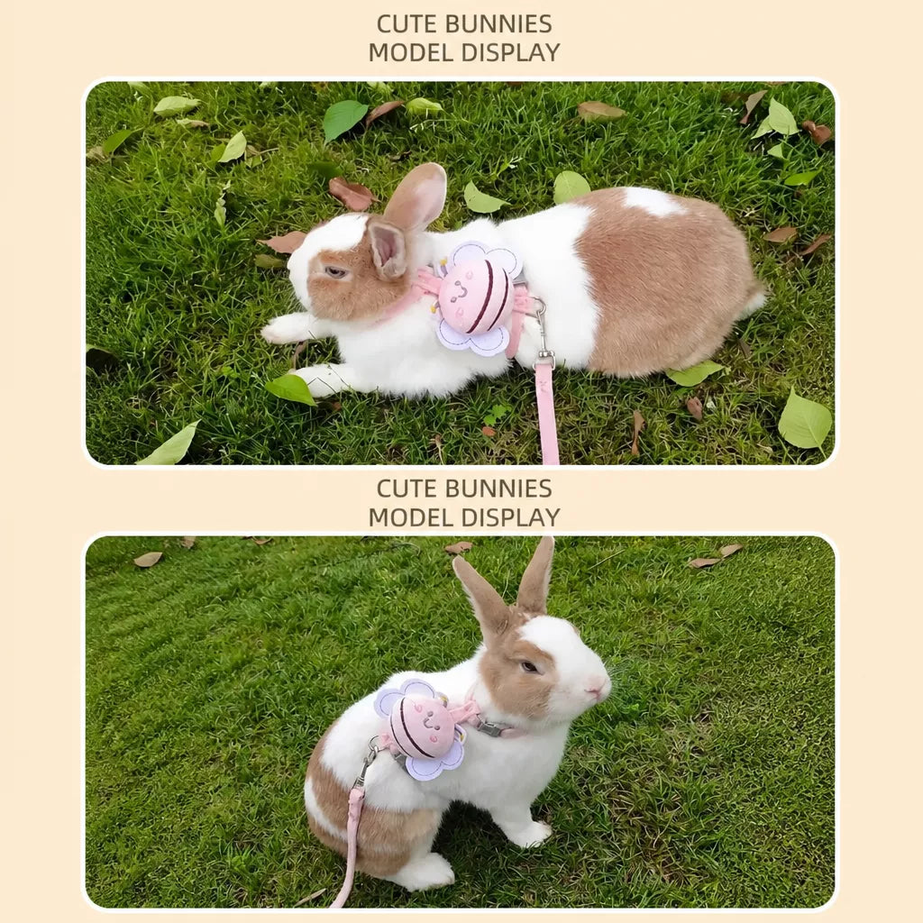 Nylon Rabbit Harness with Leash
