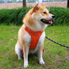 Lightweight Adjustable Nylon Dog Harness with Leash