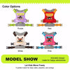 Adjustable Vest-Style Dog Harness and Leash