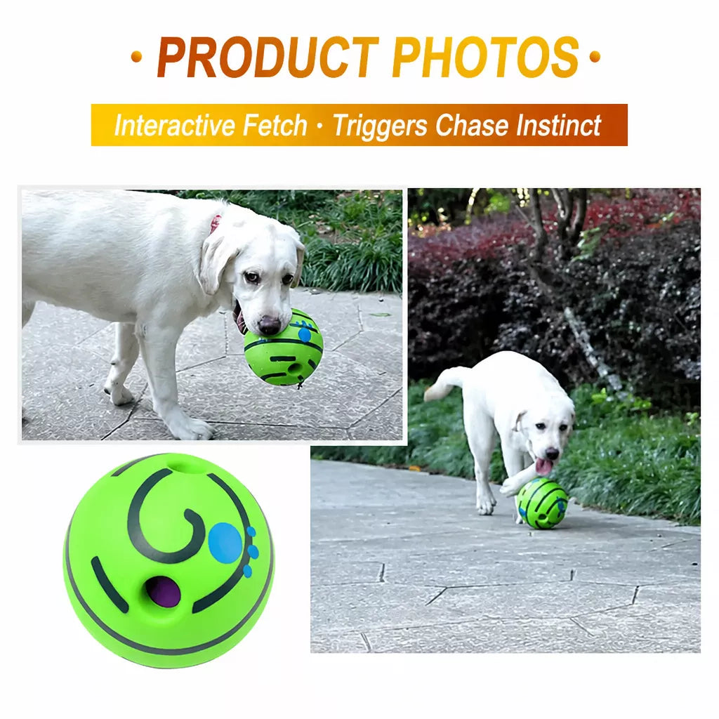 Interactive Squeaky Ball Dog Toy
