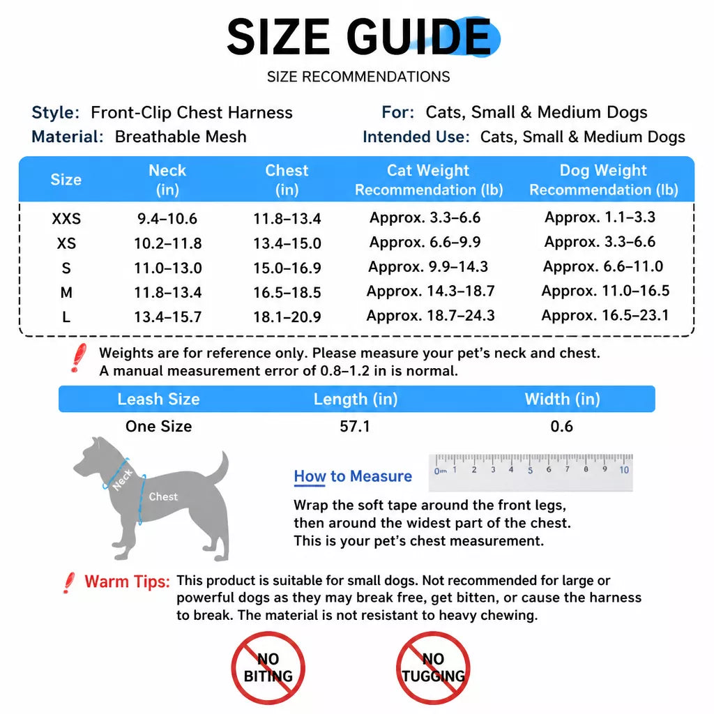 Nylon Dog & Cat Harness and Leash for Everyday Walks