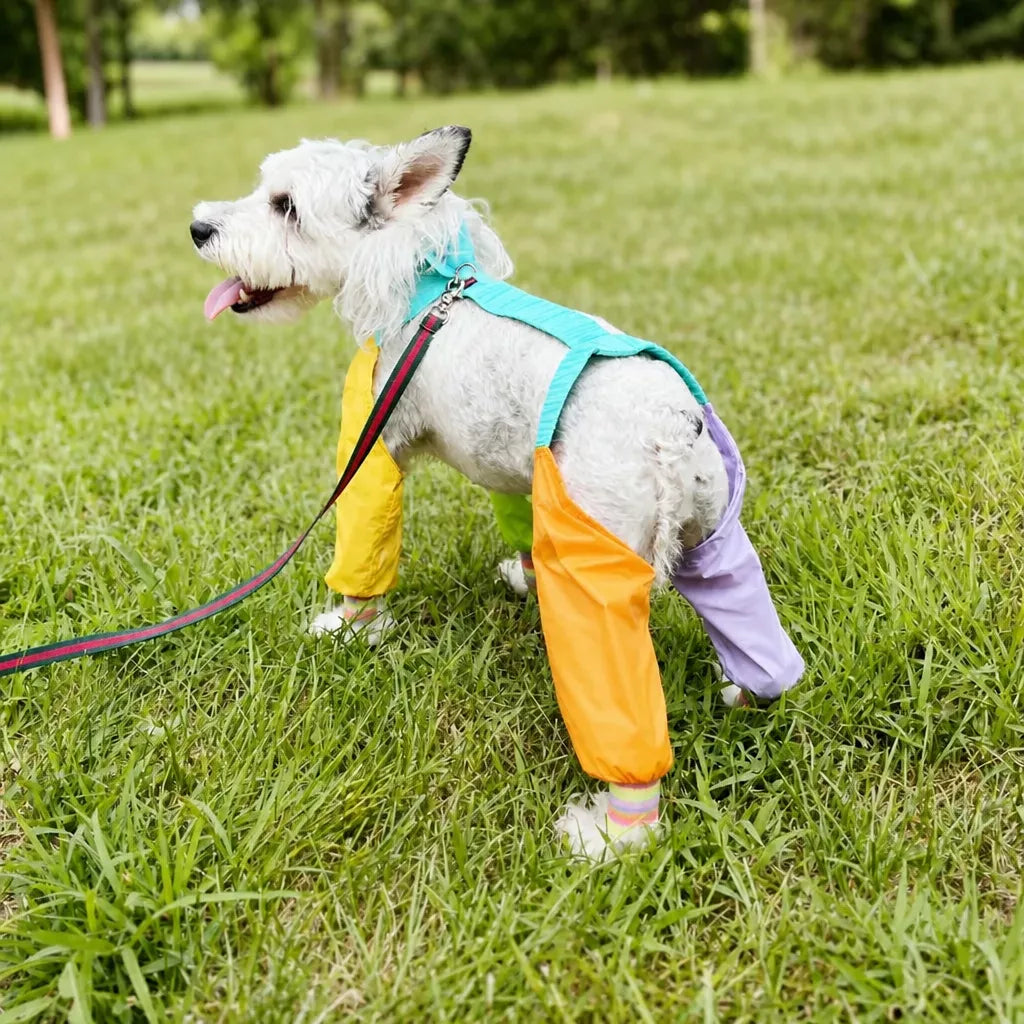 Four-Leg Dog Jumpsuit for Outdoor Wear