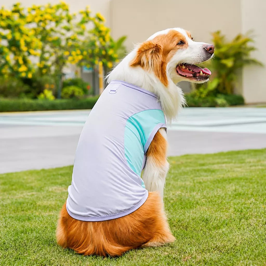 Lightweight Four-Leg Pet Shirt for Dogs & Cats