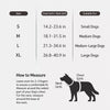 Lightweight Breathable Dog Harness and Leash