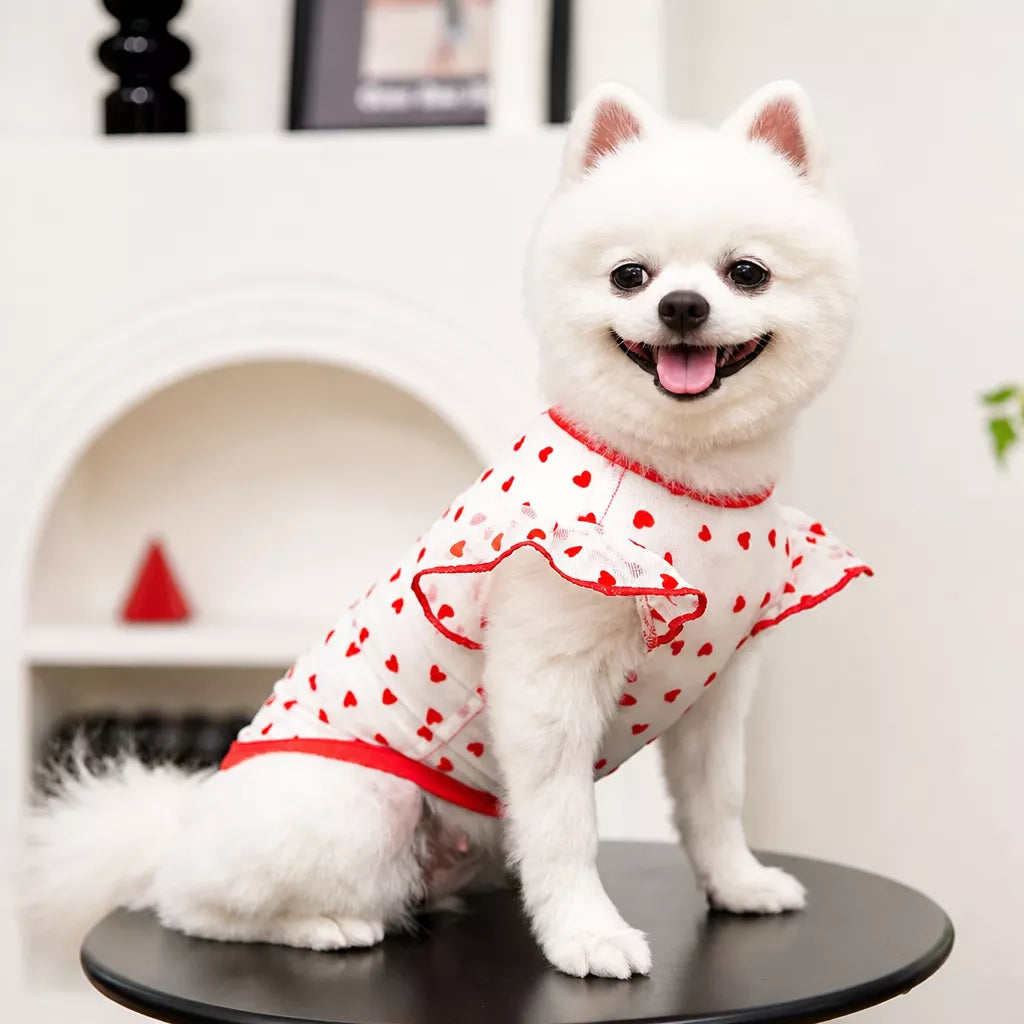 Lightweight Mesh Pet Shirt for Dogs and Cats