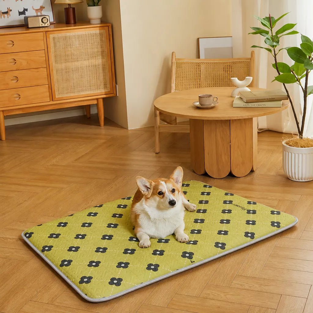 Nylon Pet Mat Bed for Dogs and Cats