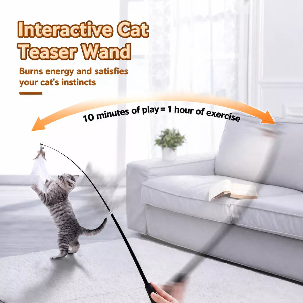 Cat Teaser Wand with Interchangeable Feather Attachments