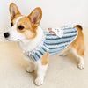 Lightweight Cotton Dog Graphic Pet Shirt for Cats & Dogs