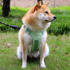 Lightweight Adjustable Nylon Dog Harness with Leash