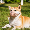 Soft Mesh Dog Muzzle with Plastic Guard