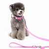 Faux Leather Dog & Cat Collar with Jewel Detail