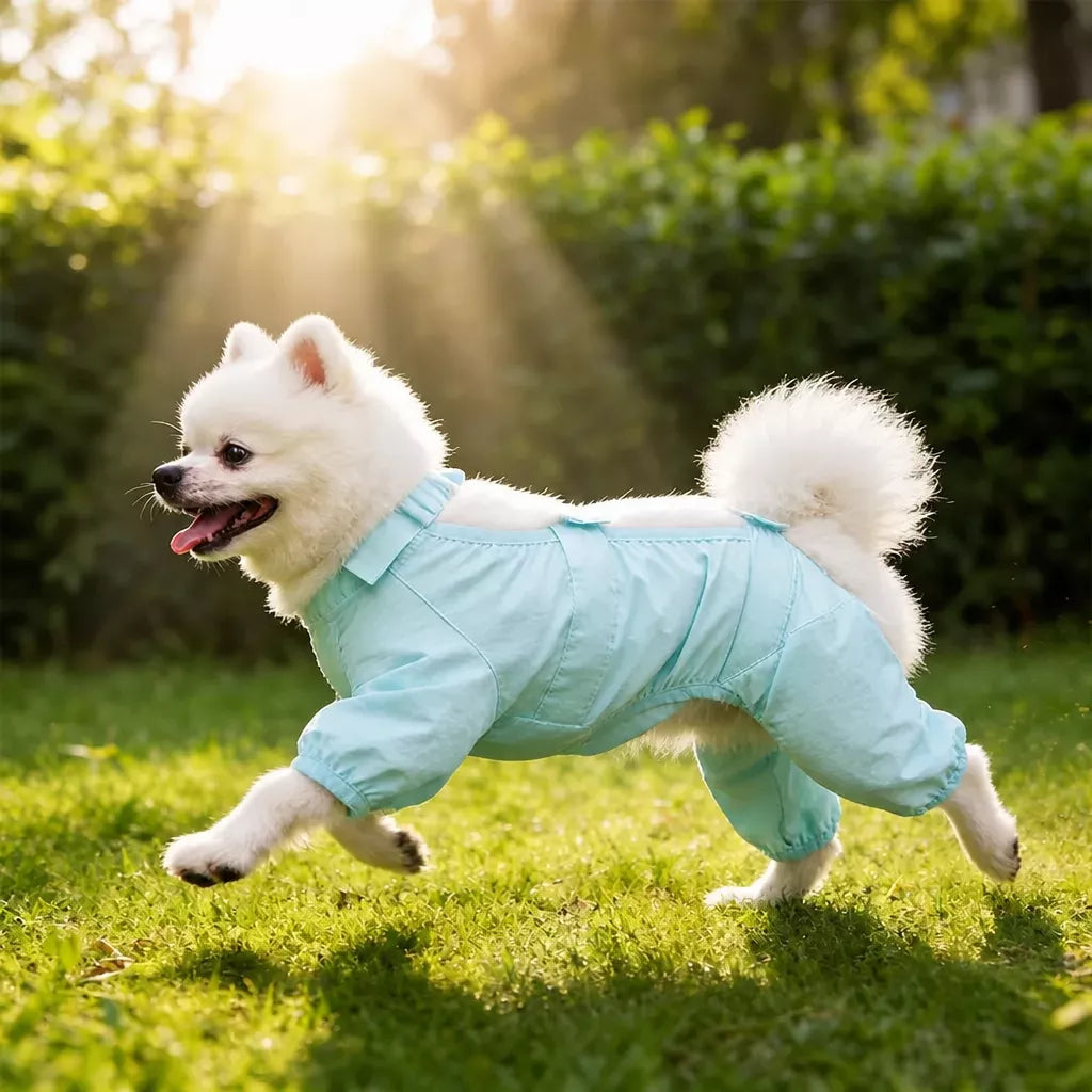Four-Legged Outdoor Suit for Dogs & Cats