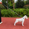Nylon Rope Training Leash for Small to Medium Dogs