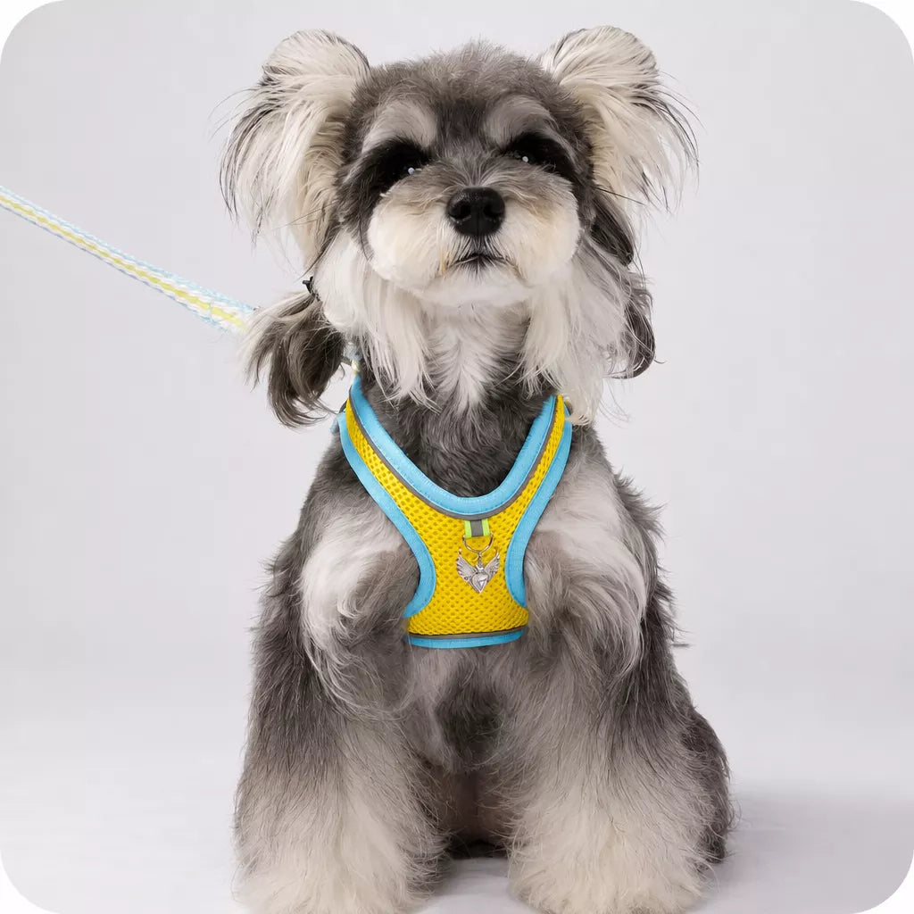 Adjustable Dog Harness with 4.6-ft Leash for Small Dogs
