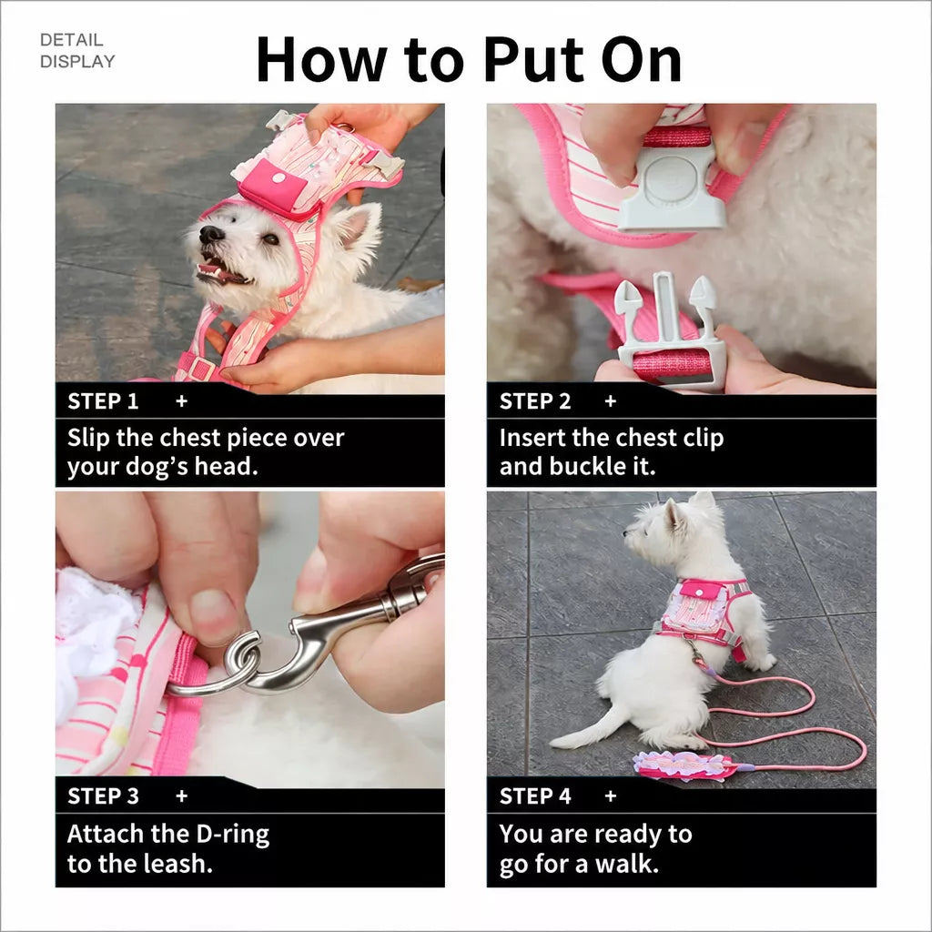 Vest-Style Harness and Leash Set for Small to Medium Dogs