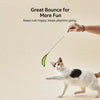 Cat Teaser Wand Toy with Feather & Fiber Teasers