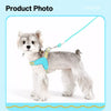 Nylon Round Rope Dog Leash for Small to Medium Dogs
