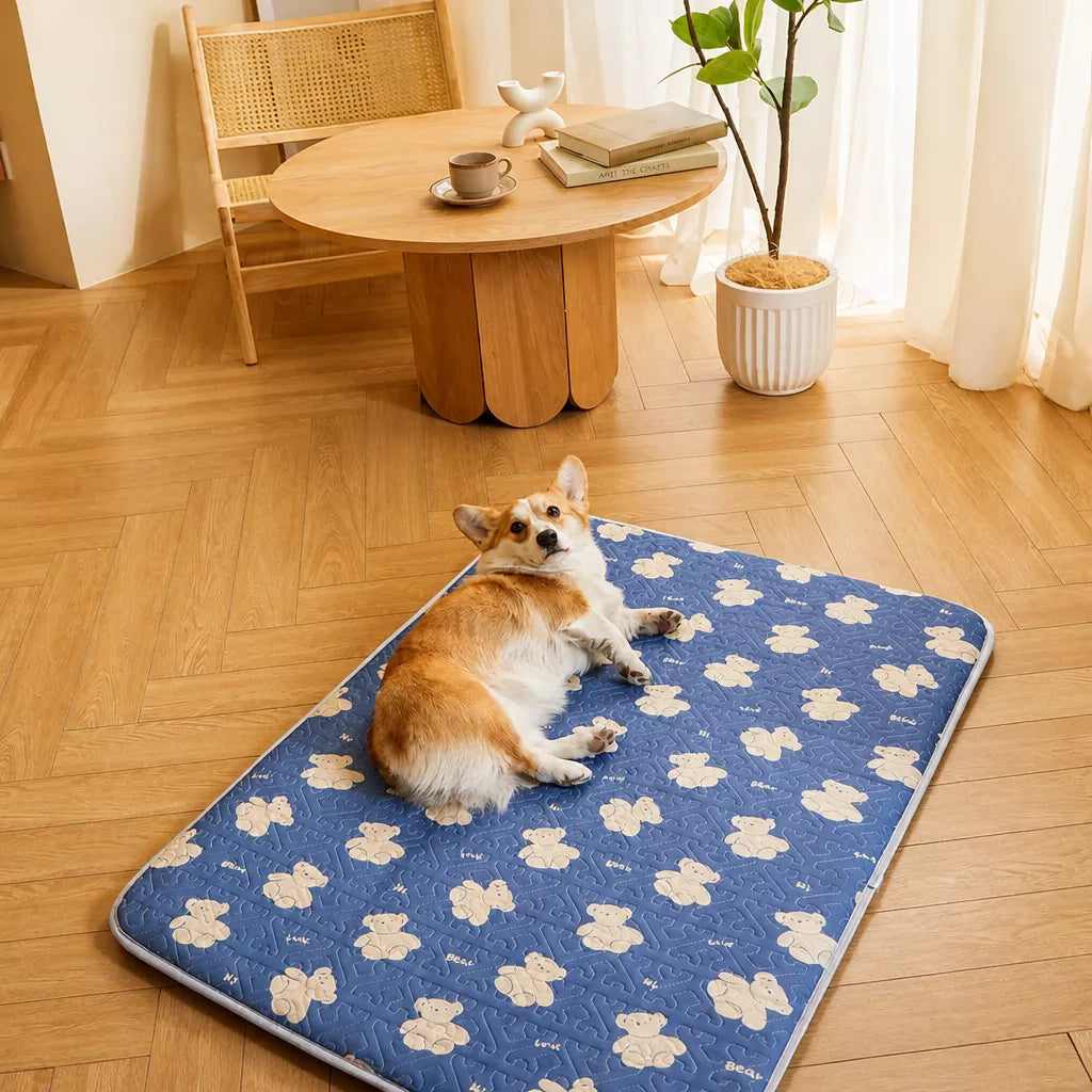 Nylon Pet Mat Bed for Dogs and Cats