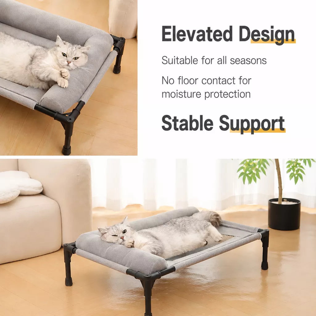 Elevated Pet Cot with Removable, Washable Cover