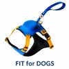 Nylon Harness with Integrated Retractable Leash for Dogs