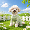 Lightweight Four-Leg Dog Shirt